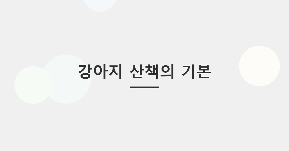 강아지 산책의 기본