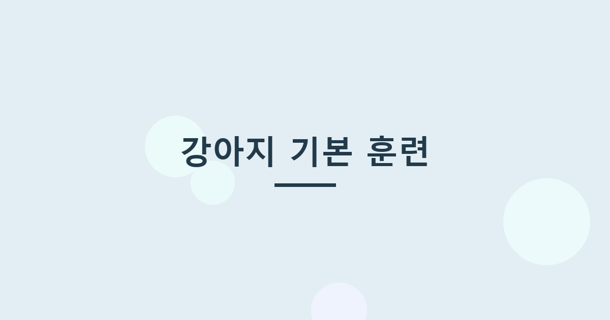 강아지 기본 훈련